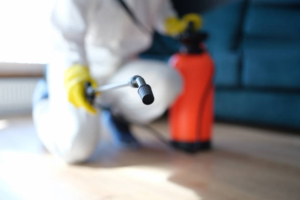 Mold Remediation for Rental Properties in Bellevue, KY